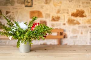 a vase filled with flowers sitting on a table at Janakis Garden Livadi Beach in (( Spile ))