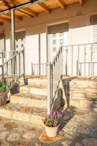 a porch of a house with a potted plant at Janakis Garden Livadi Beach in (( Spile ))