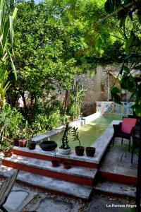 a garden with potted plants and a pool of water at La Pantera Negra in Mérida