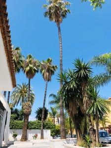 En have udenfor Luxury Carihuela Beach + 41 billeder