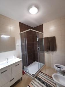 ポルティマンにあるFlor da Beira Apartments ou Paraiso Sol Da Rochaのバスルーム(シャワー、トイレ、シンク付)