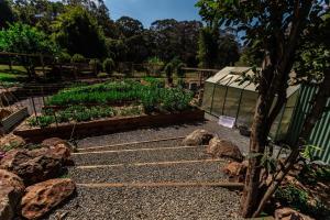 Songbirds Rainforest Retreat外面的花园