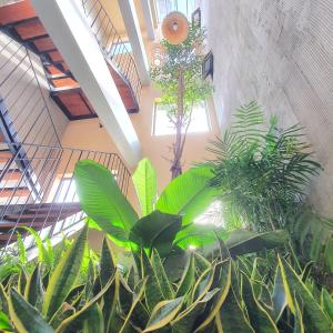 a room filled with lots of plants in a building at Cagina Boutique Hostel in Dong Hoi