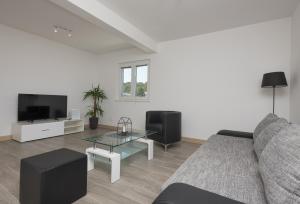 Televízia a/alebo spoločenská miestnosť v ubytovaní Apartments Villa Hadria