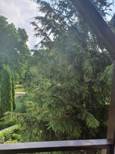 Zahrada ubytování Casa Stefandra