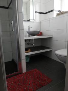 a bathroom with a sink and a toilet at Chambres d'hôtes Sandrine Louis in Phalsbourg