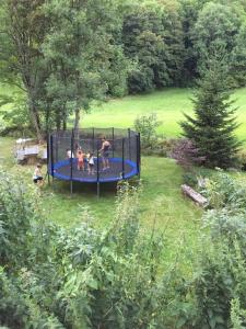 una familia jugando en un trampolín en un patio en Haus Wiesengrund-Fahl - FeWo 4, en Todtnau