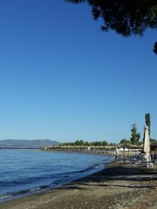 plaża z parasolami i krzesłami oraz ocean w obiekcie Gorjelina `s House w mieście Wolos