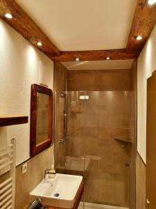 a bathroom with a shower and a sink and a toilet at Astoria Appartements in Oberau