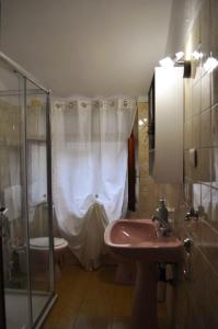 ein Bad mit einer Dusche, einem Waschbecken und einem WC in der Unterkunft La Casetta nel cuore del Parco in Locana