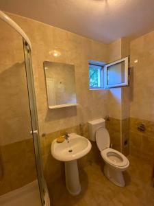 La salle de bains est pourvue de toilettes, d'un lavabo et d'une douche. dans l'établissement Petkovic Accommodation, à Tivat
