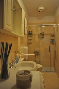 een badkamer met een douche en een wastafel bij Il bilocale della nonna in Locana
