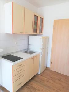 Kuchyň nebo kuchyňský kout v ubytování Apartments Janja