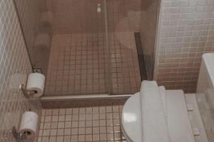 a bathroom with a toilet and a shower stall at Samba Rio Convention & Residence in Rio de Janeiro
