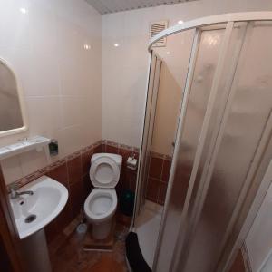 a bathroom with a toilet and a shower and a sink at Отель in Malyn