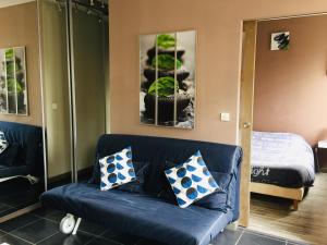タルブにあるRésidence de l'Avenueのリビングルーム(青いソファ、ベッド付)