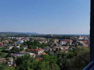 a view of a city with houses and trees at Druzhba Hotel in Uzhhorod