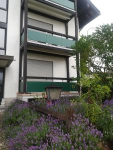 un bâtiment avec des fleurs violettes devant lui dans l'établissement Ferienwohnung Ziegelbergblick, à Jockgrim