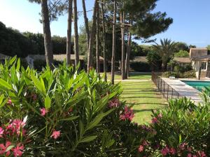 a garden with pink flowers and a swimming pool at Prea Gianca in Bonifacio