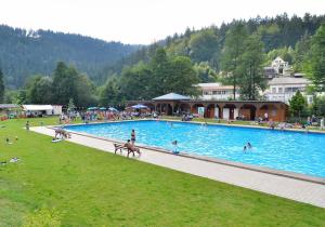 a large swimming pool with a crowd of people in it at Ferienwohnung Pasek in Mehlmeisel