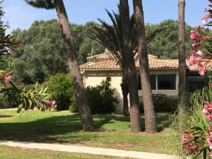 a house with palm trees in the yard at Prea Gianca in Bonifacio