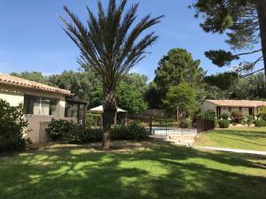 a palm tree in the yard of a house at Prea Gianca in Bonifacio