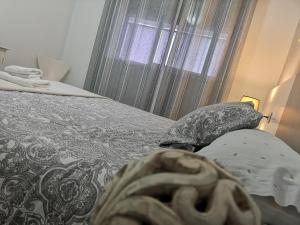 a bedroom with two beds and a window at Apartamento Camino de Santiago 2 in Sarria
