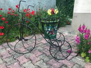 Κήπος έξω από το Gîte du Parc des Mauves
