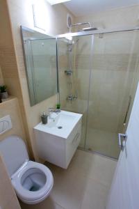 a bathroom with a toilet and a shower and a sink at Apartament Delora View in Bumbeşti-Jiu