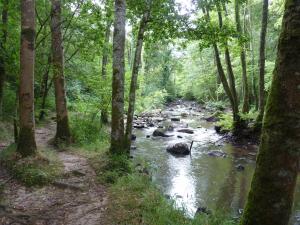 einem Bach in einem Waldgebiet mit Felsen im Wasser in der Unterkunft Domaine de l'Etre in Saint-Pierre-du-Regard