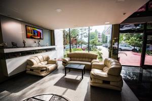 Χώρος καθιστικού στο Hotel & MedSpa Siret
