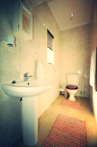 a bathroom with a sink and a toilet at Nukakamma River Guesthouse in Colchester