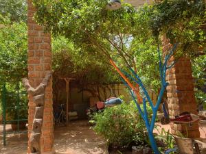 um jardim com um monte de papagaios pendurados numa árvore em Villa Yiri Suma em Ouagadougou