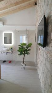 a bathroom with a potted plant on a wall at Old Stone Holiday Home in Rovinj