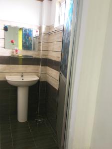 La salle de bains est pourvue d'un lavabo et d'une douche en verre. dans l'établissement Shiny Villa, à Nuwara Eliya