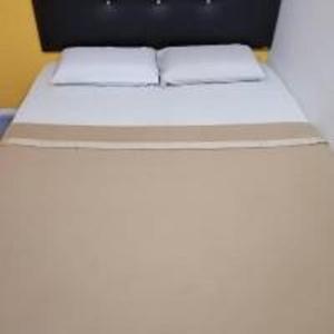 Легло или легла в стая в Emerald Inn