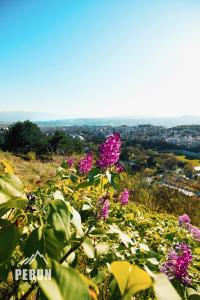 Foto de la galería de Perun Hotel Sandanski en Sandanski