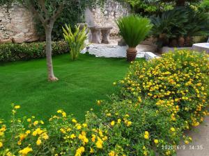 Casa Vacanza la Fiaba في تراباني: حديقة بها عشب أخضر وورد أصفر