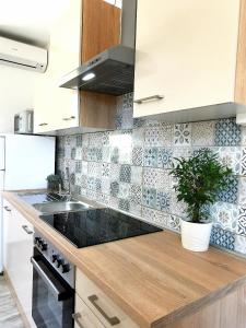 Φωτογραφία από το άλμπουμ του Apartments Lucia σε Pag