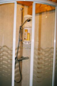 y baño con ducha. en chalet jennifer, en Laveissière