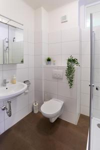 ein weißes Bad mit einem WC und einem Waschbecken in der Unterkunft Gemütliche Wohnung in zentraler Lage in Graz