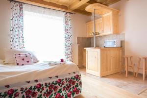 Kuchnia lub aneks kuchenny w obiekcie Willa u Bohuna Jacuzzi & Sauna