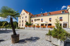 a palm tree in front of a building at Spa Hotel Centrum in Františkovy Lázně