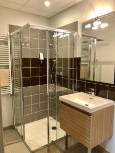 a bathroom with a glass shower and a sink at Auberge du Cezallier in Montgreleix