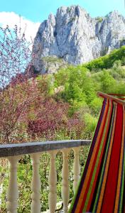 a hammock on a balcony with a mountain in the background at Casa Jax in Rîmeţi