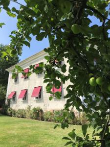 a building with red awnings and a tree at Vandrarhemmet Östergatan in Skövde