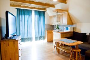 Telewizja i/lub zestaw kina domowego w obiekcie Willa u Bohuna Jacuzzi & Sauna