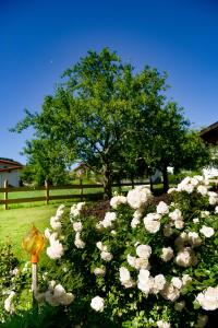 Jardín al aire libre en Ferienhotel Elvira