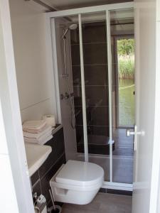 a bathroom with a toilet and a glass shower at Houseboat uitzicht over veluwemeer, natuurlokatie, prachtige vergezichten in Biddinghuizen