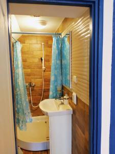 een badkamer met een wastafel en een douche bij Casa Toth in Vişeu de Sus
